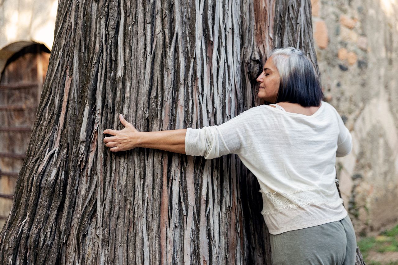 Viviana Althaus abrazo árbol